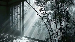 4K 禅意 光影 墨竹