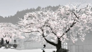 樱花树下的约定