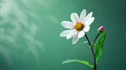 树影小花简约护眼壁纸