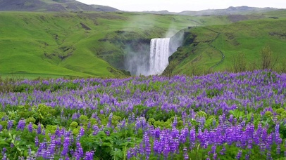 瀑布下的薰衣草群