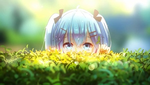 害羞的初音
