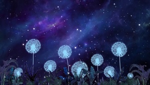 星河蒲公英