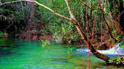 4K夏日清凉小溪