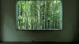 中国风窗景