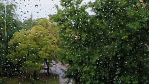 雨窗