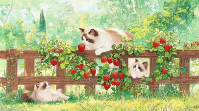 可爱猫咪