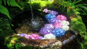 绿色是流动舒展的生命