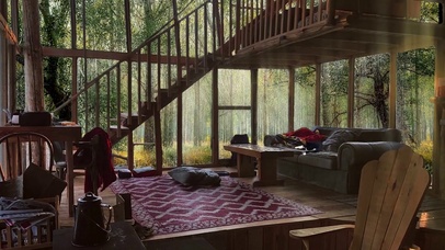 雨天森林舒适客厅