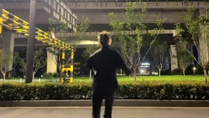 凌晨四点海棠花未眠