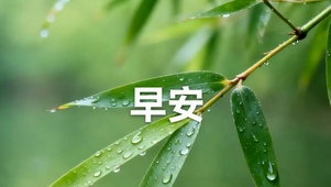早安带鱼屏