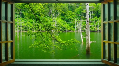 春天窗外绿水湖