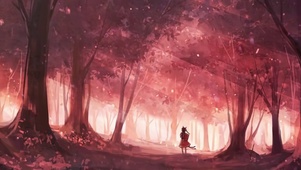 森林霞光