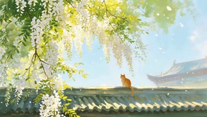 槐花树下猫咪