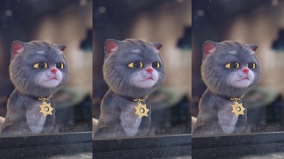 斑布猫-下雨天