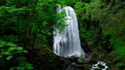 夏日绿林瀑布
