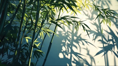 唯美清新绿色竹林光影