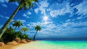 4K 清爽夏威夷海滩
