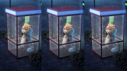 斑布猫-电话亭里的雨天