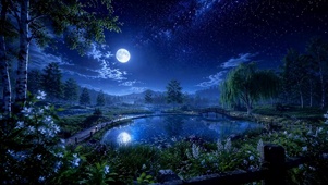 月夜静湖