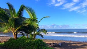 浪漫大海