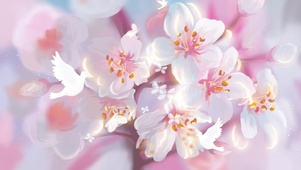 春季可爱樱花