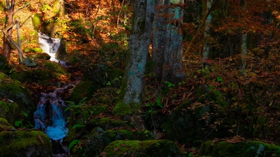 4K山涧泉水流淌