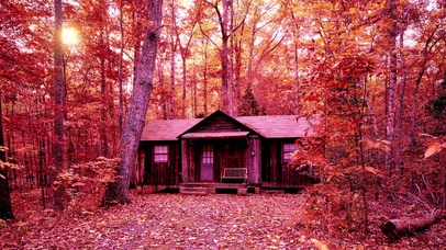 深秋红叶，世外独居