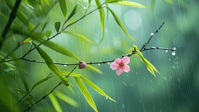 雨中小花