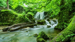 拥抱绿色，沉默是金