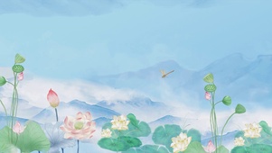 治愈唯美荷塘风光
