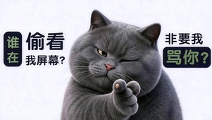 不许偷看我屏幕 