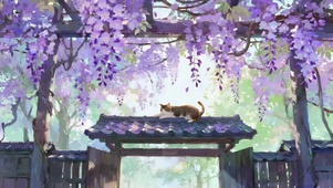 春天门楼上猫咪