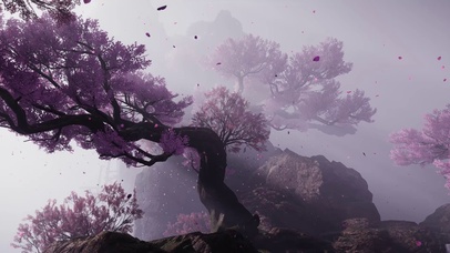 wwm