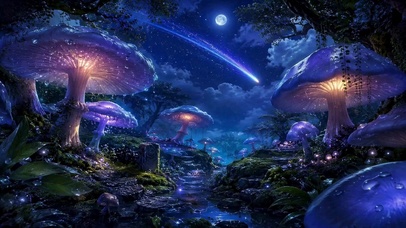 月下蘑菇秘境