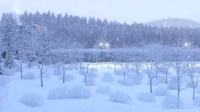 唯美下雪天