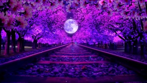 唯美梦幻紫色