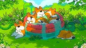 水中纳凉的柯基
