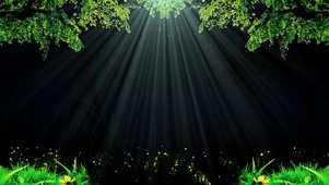 唯美花草阳光粒子