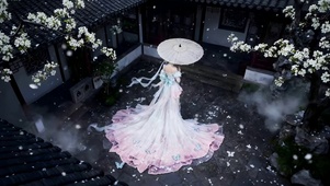 飘落的梨花是数不尽的思念