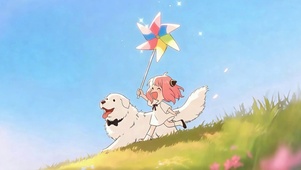 晴野追风