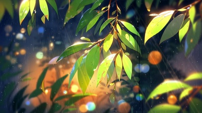 太阳雨中绿叶