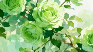 护眼绿色花朵带鱼屏