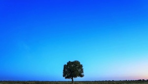 宁静又浪漫的星河