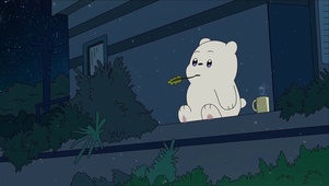 小熊望星空