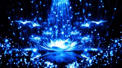 蓝色莲花蝴蝶粒子