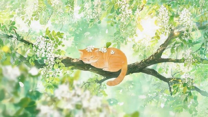 夏天树枝上猫咪