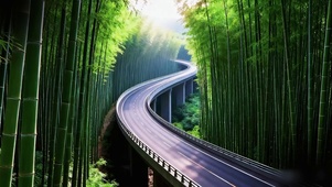 竹韵公路桥