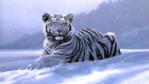 雪中猛虎