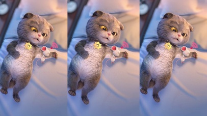 斑布猫-爱的wifi