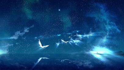 星空海上烟花